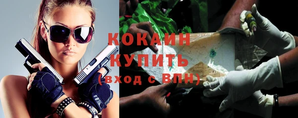 прущие грибы Гусиноозёрск
