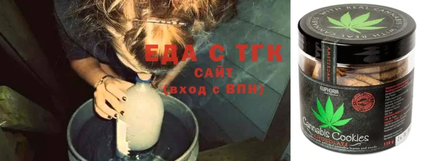 прущие грибы Гусиноозёрск
