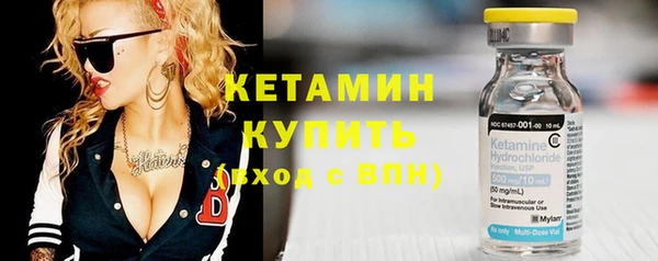прущие грибы Гусиноозёрск