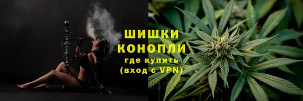 прущие грибы Гусиноозёрск