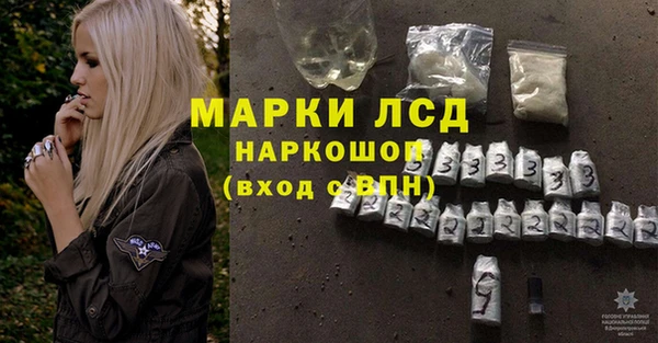 прущие грибы Гусиноозёрск