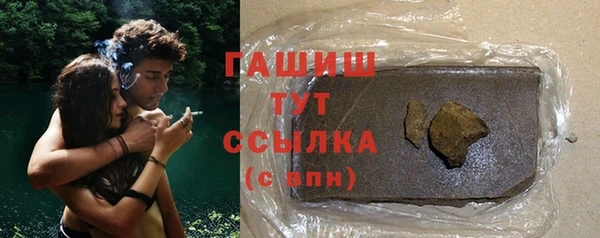 прущие грибы Гусиноозёрск