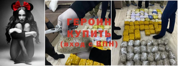 прущие грибы Гусиноозёрск