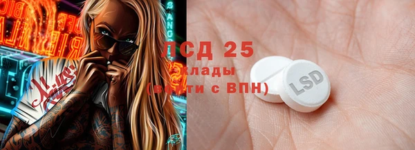 прущие грибы Гусиноозёрск