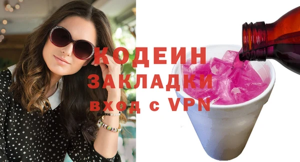 прущие грибы Гусиноозёрск